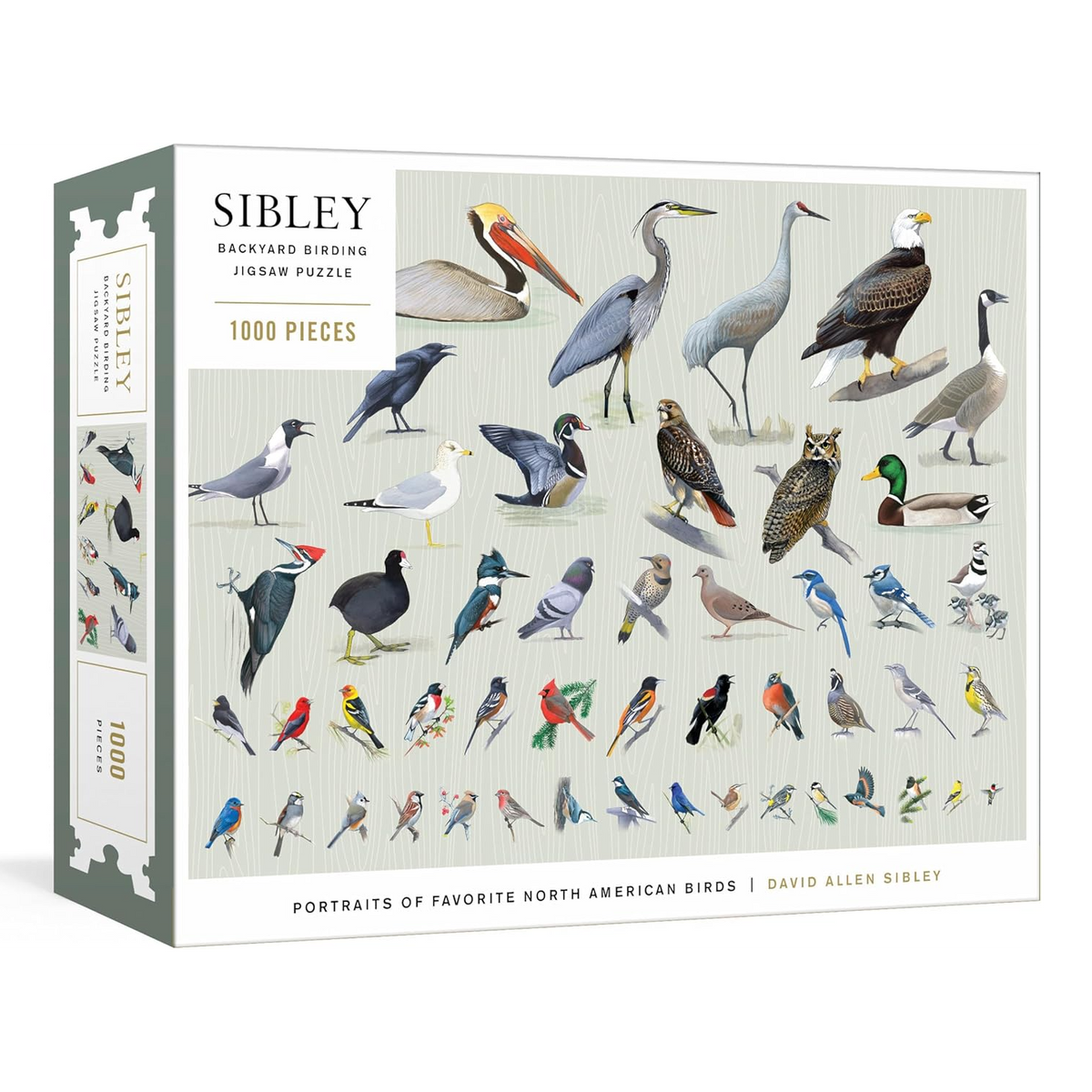 Sibley backyard birding puzzle paper trail rhinebeck
