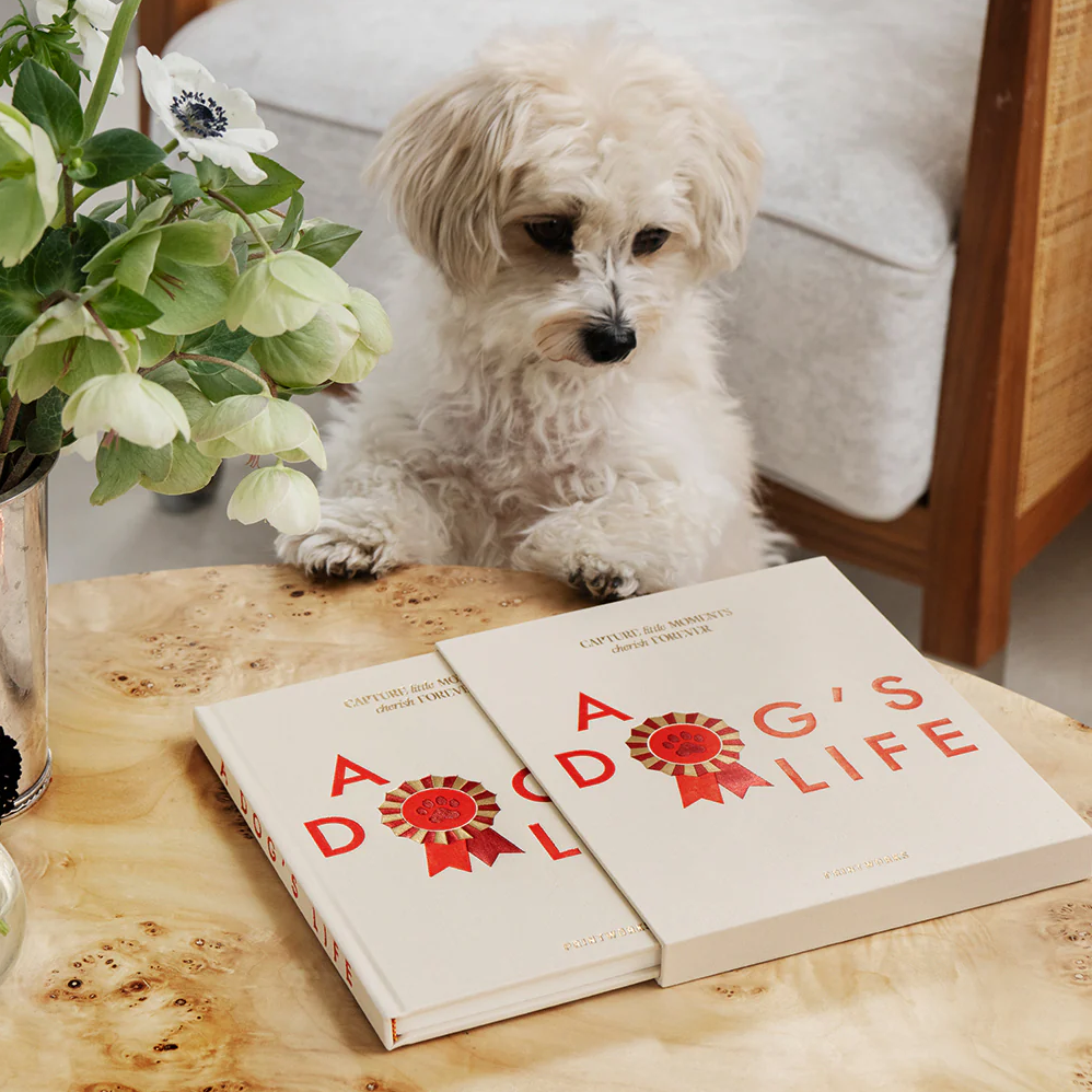 Journal Doogs Journals & Notebooks – Paper Trail Rhinebeck