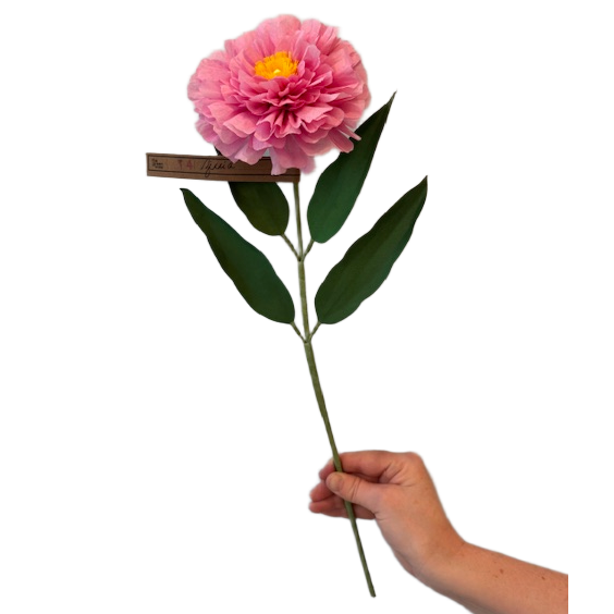 Livia Cetti Paper Flowers – Paper Trail Rhinebeck